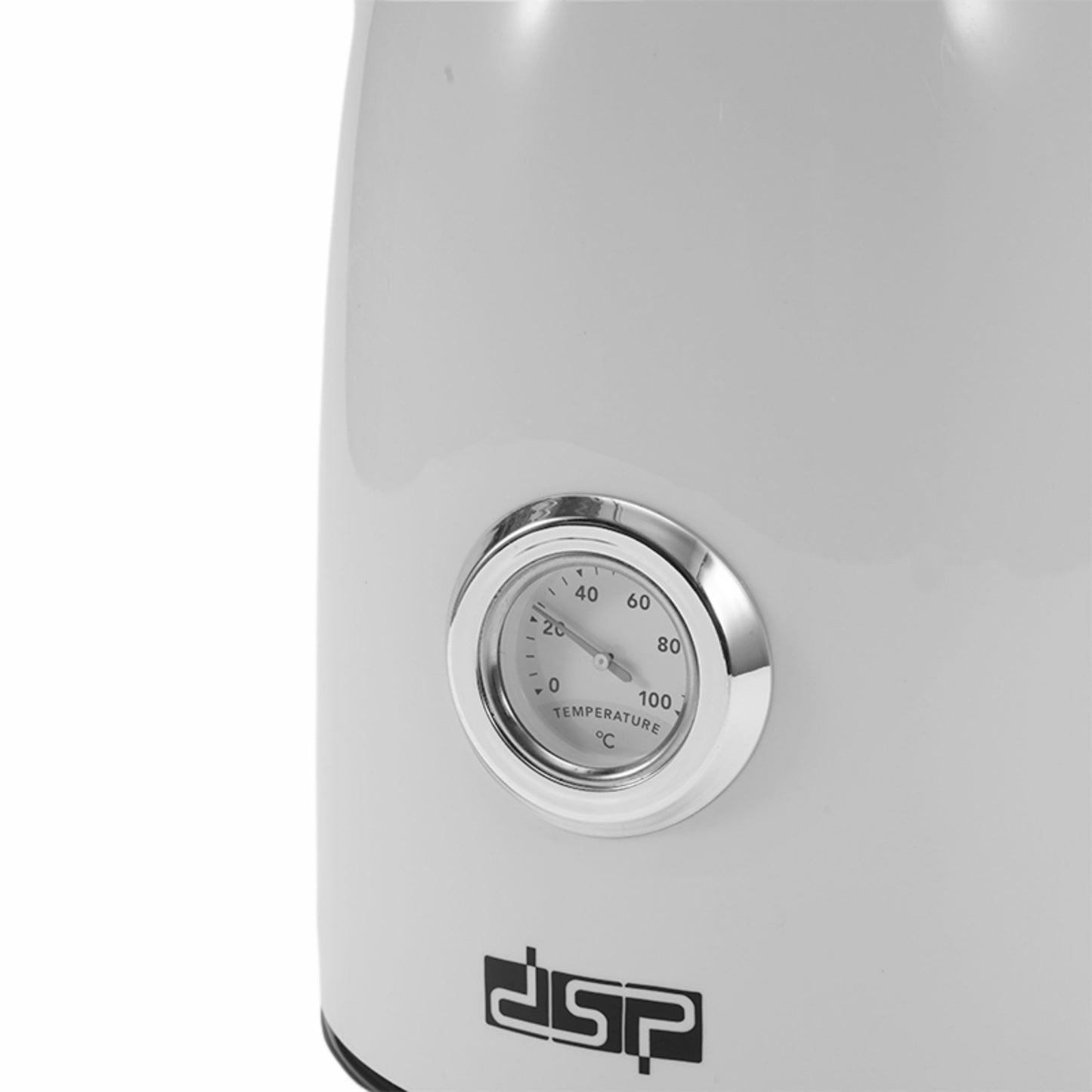 DSP Electric Kettle