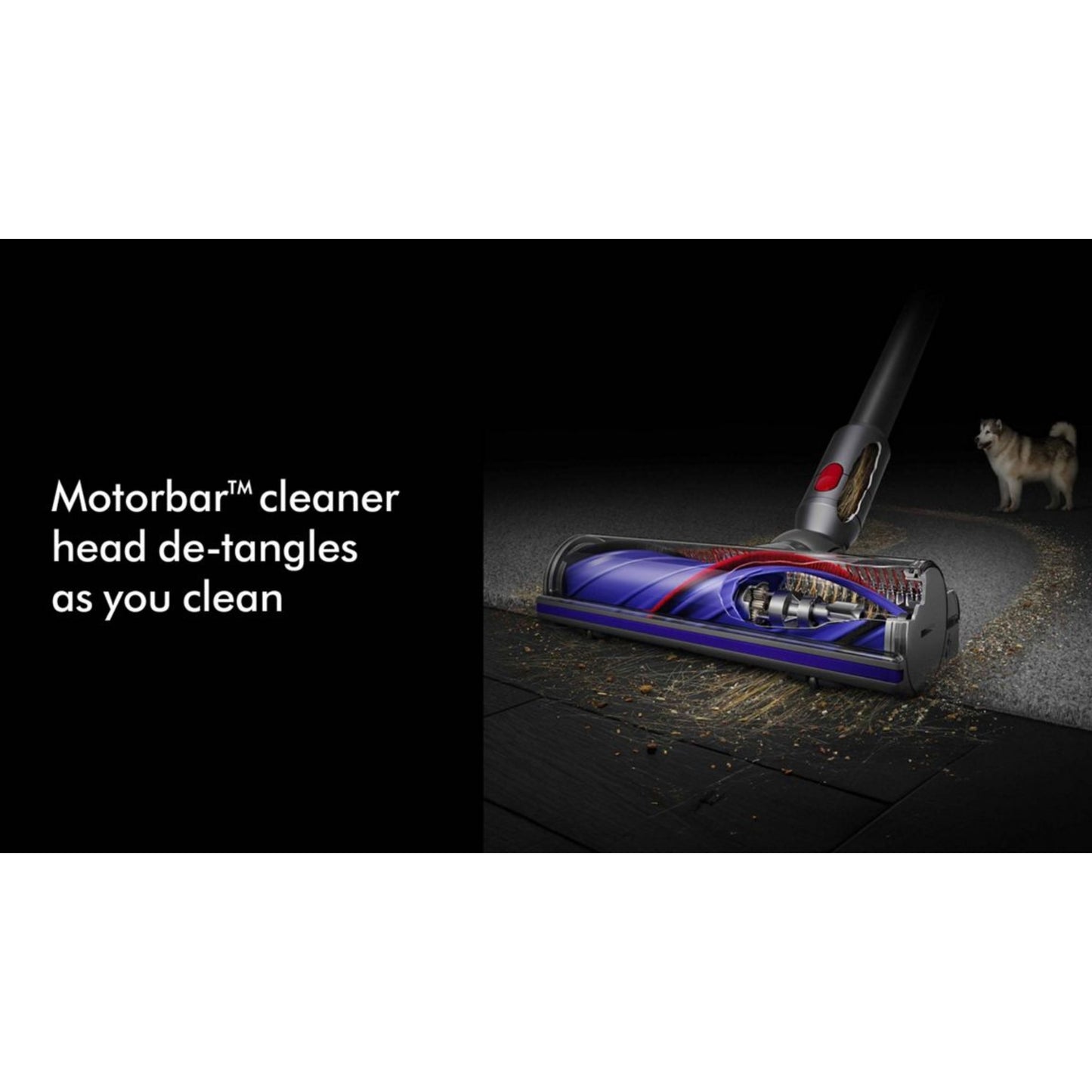 Dyson V8 Absolute