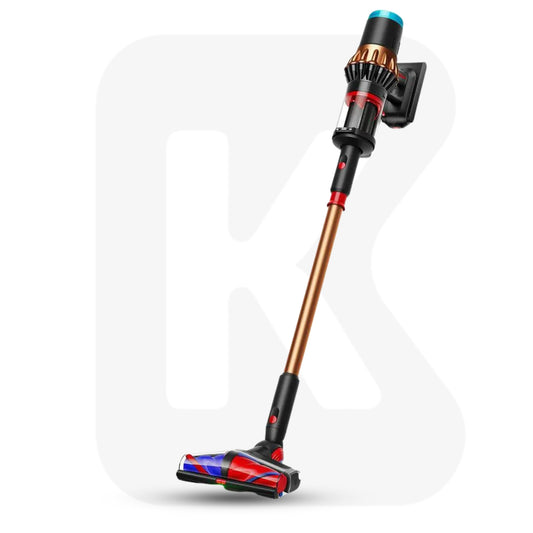 Dyson DS-60 / V16 Piston Animal