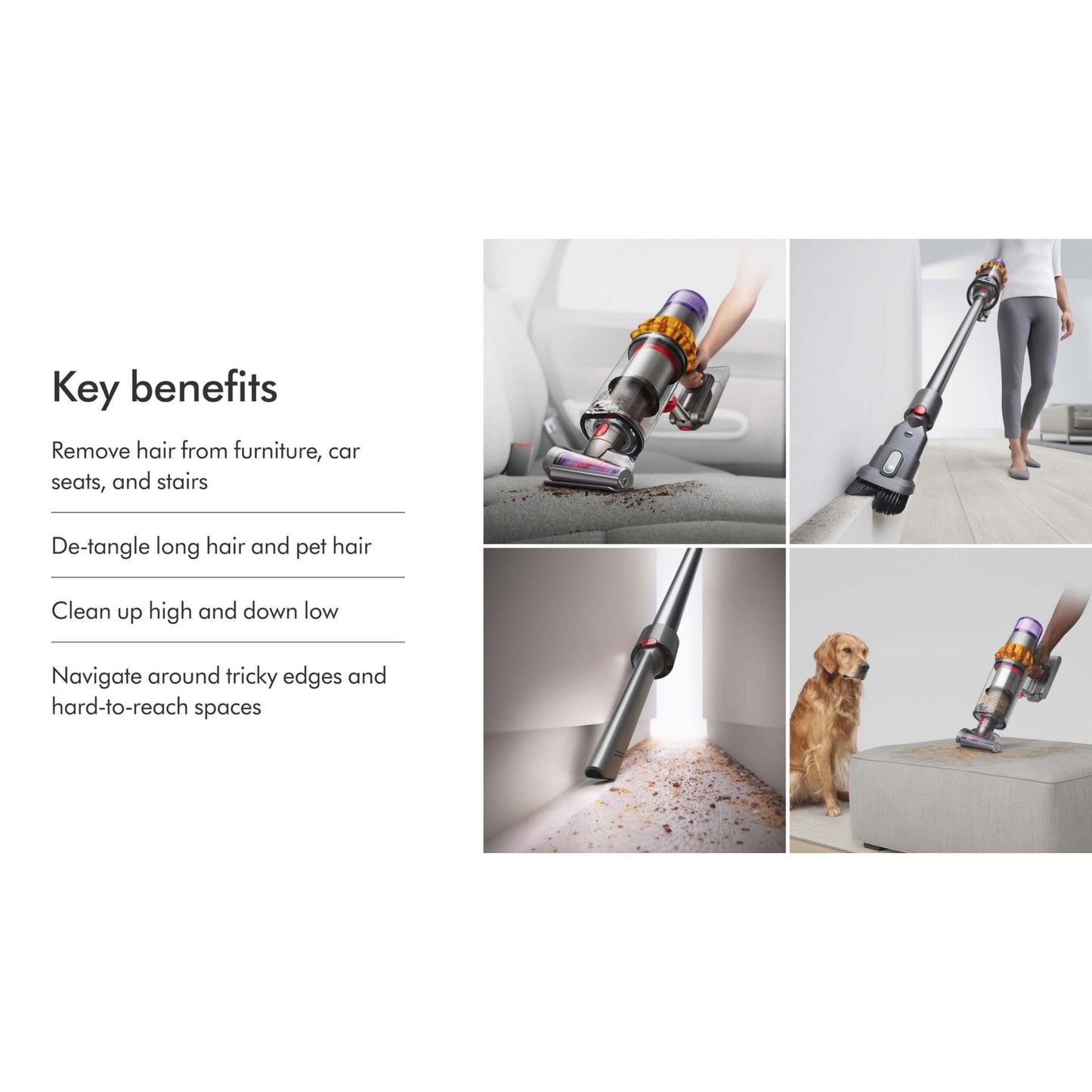 Dyson V12 Absolute