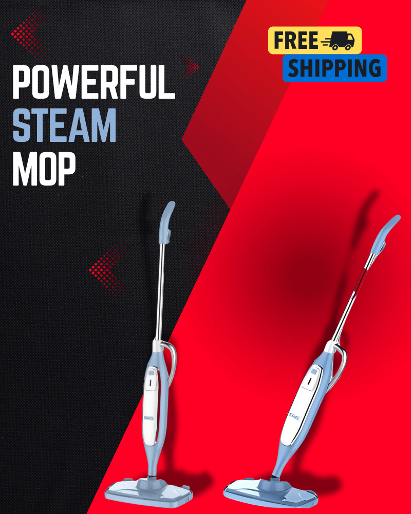 DSP Steam Mop KD2036