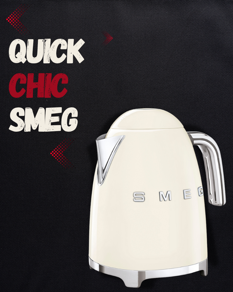 DSP Steam Mop KD2036